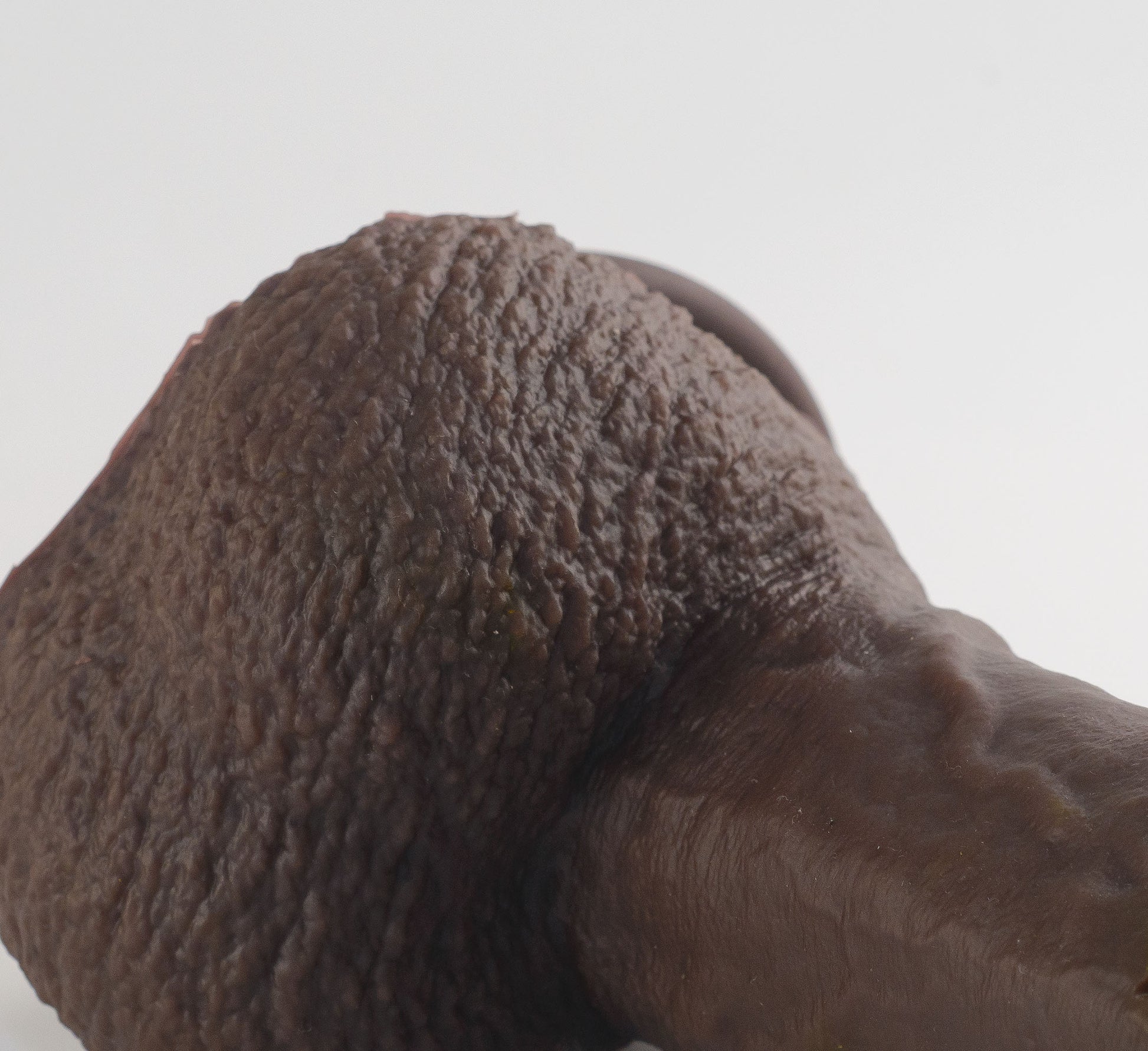 Stage 03 Giganotosaurus dual-density silicone dildo - close-up detail of scrotum texture showing hyper-realistic skin folds and surface detail in dark brown colorway - body-safe platinum-cured | RealTouch Lab
