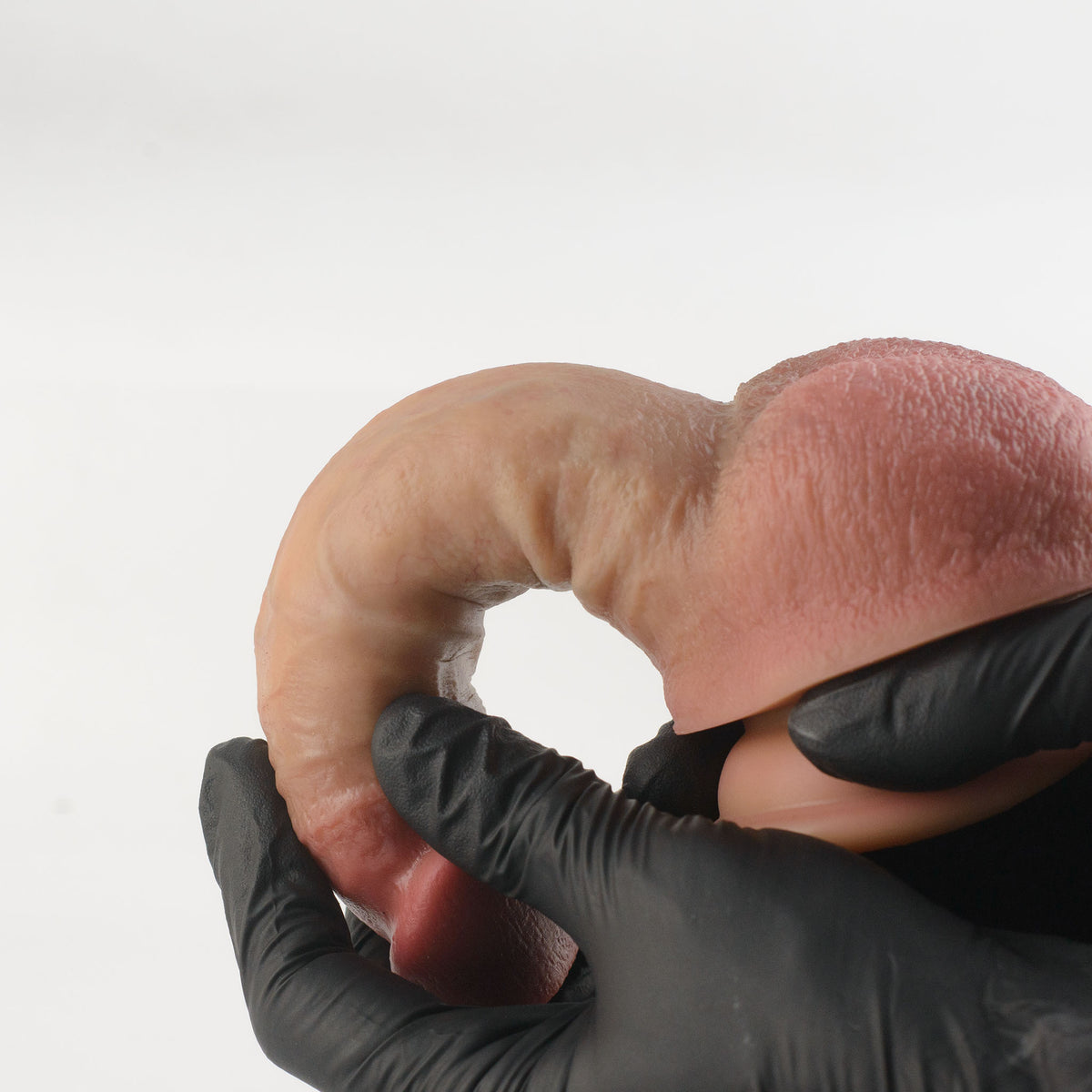 Stage 04 Velociraptor hand-painted silicone dildo - black nitrile gloved hands bending product into full circular loop demonstrating extreme 360-degree dual-density flexibility, glans nearly touching scrotum with no cracking or deformation - ultra-soft outer layer performance test | RealTouch Lab
