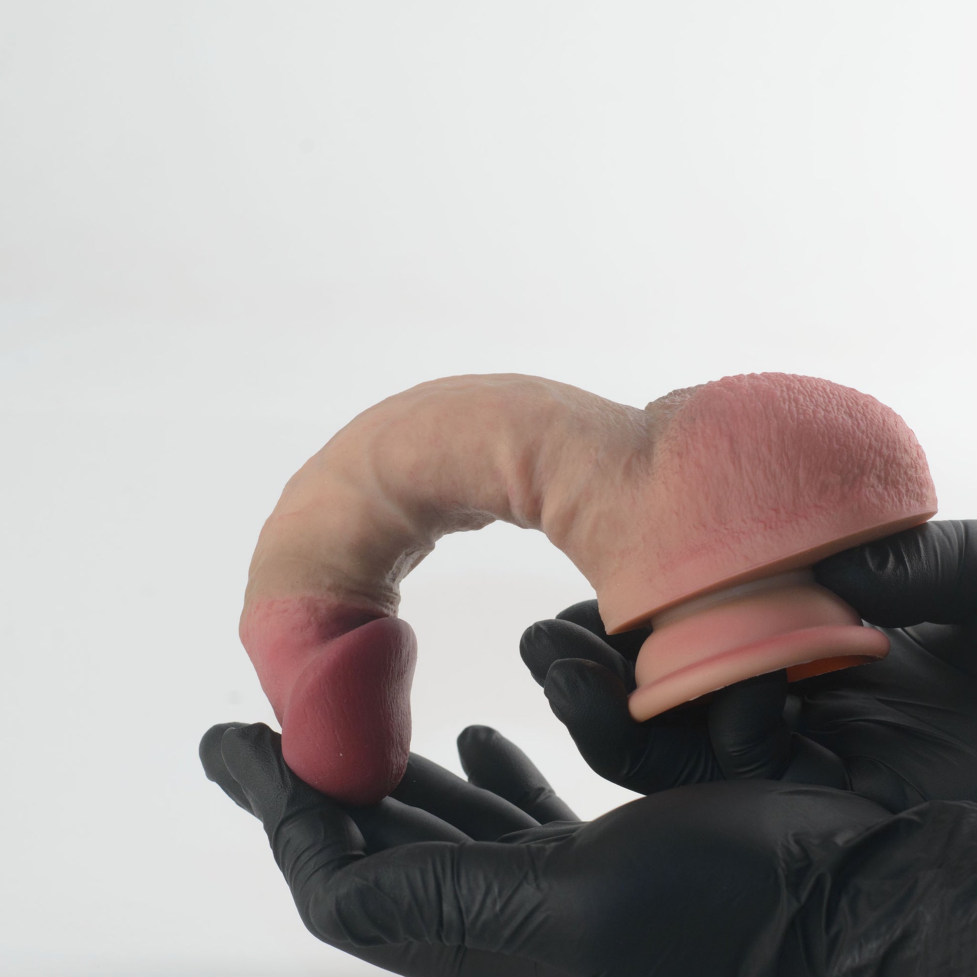 Stage 05 Velociraptor dual-density silicone dildo with Velvet Shield Coating - two black nitrile gloved hands bending product into full U-shape demonstrating extreme dual-density flexibility, deep pink scrotum on left and suction cup base on right with glans nearly touching, no cracking or deformation - Velvet Shield Coating remains intact under maximum bend - body-safe platinum-cured | RealTouch Lab
